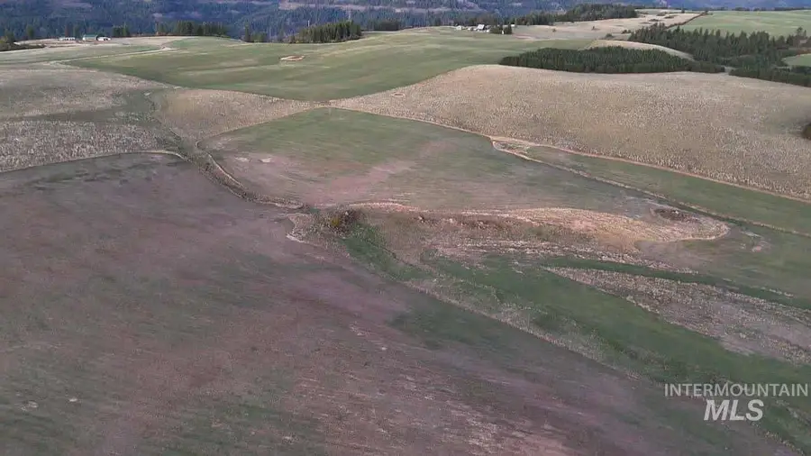 TBD Stuart Rd, 60 Acre Parcel, Orofino, ID 83544 - Image #2