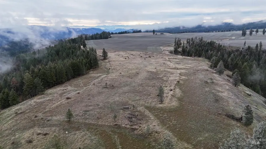 2439 Albers Rd, Nezperce, ID 83543 - #3