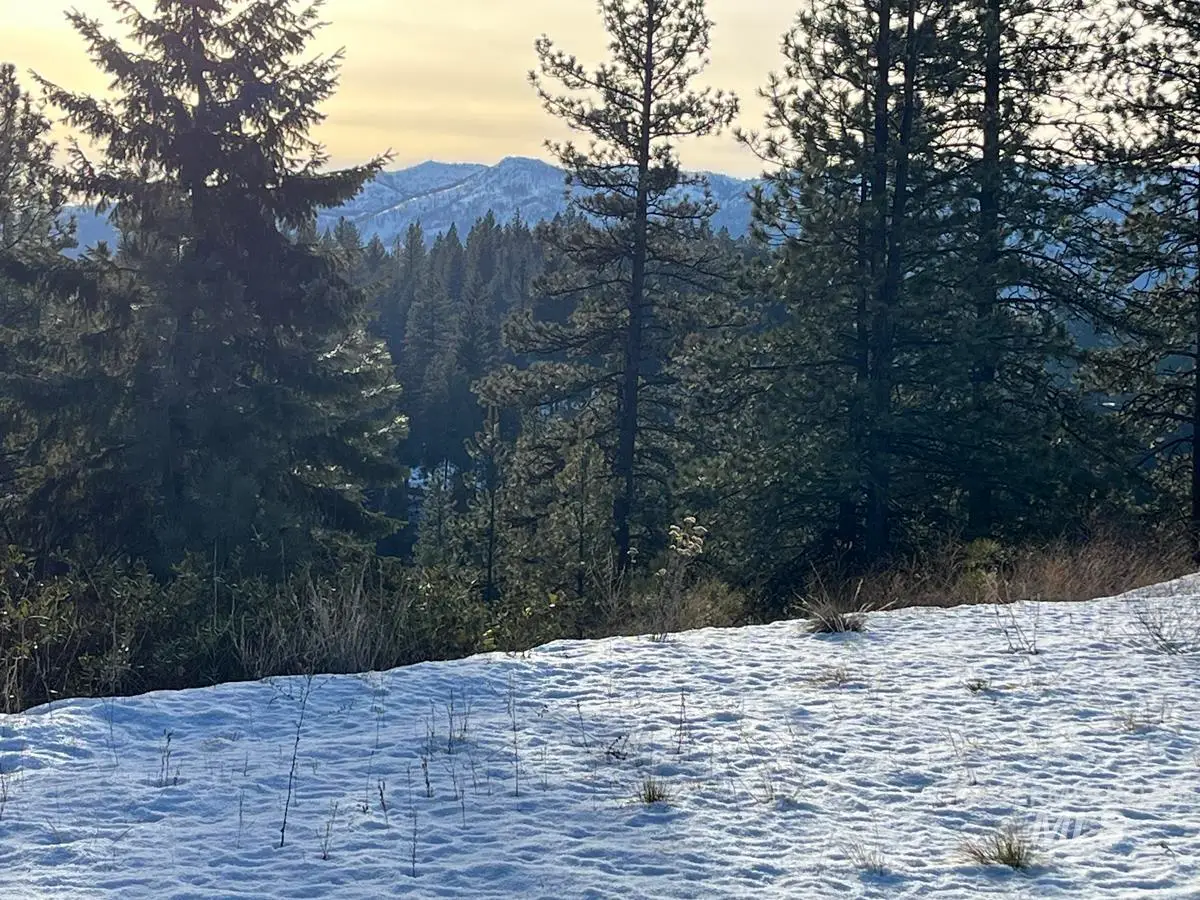 11 Augustus Way, Cascade, ID 83611 - #1