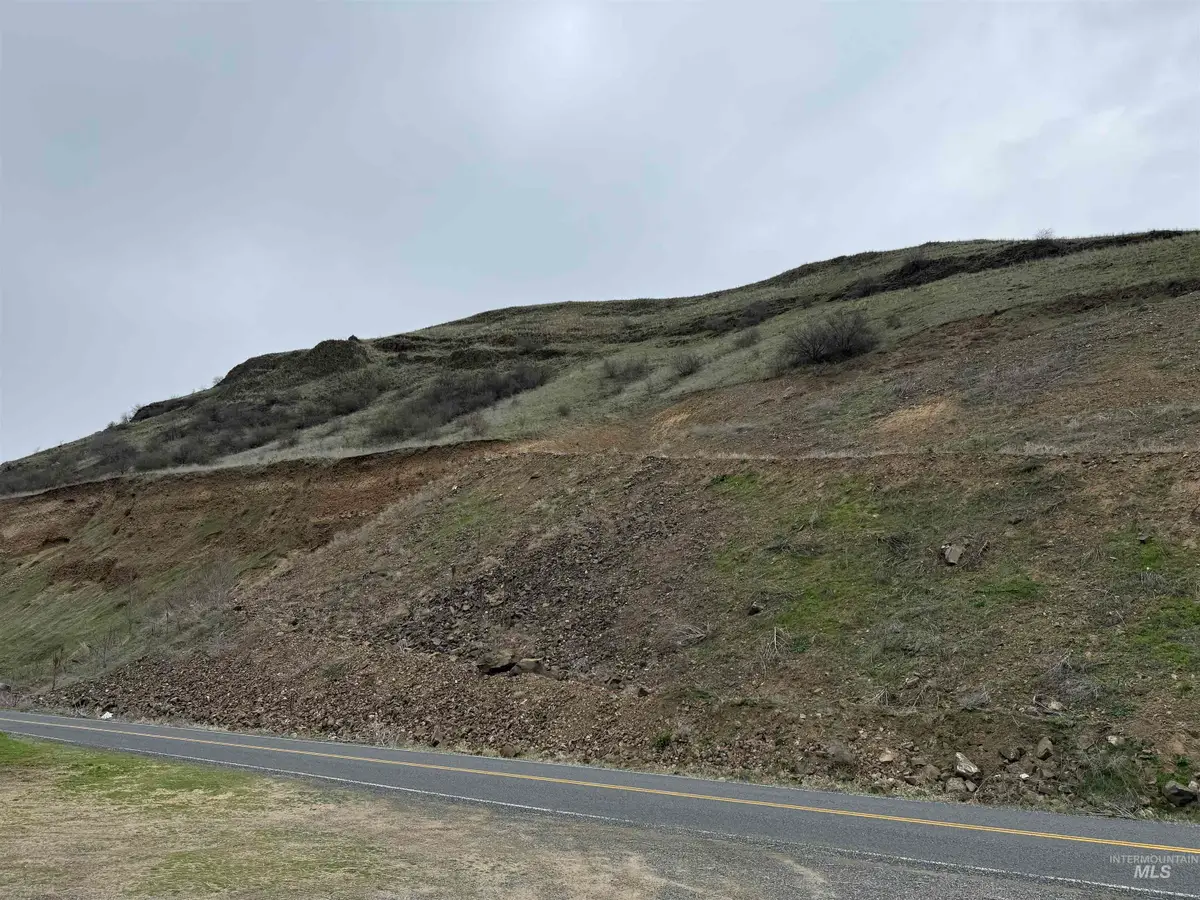 0 White Bird, White Bird, ID 83554 - Image #1