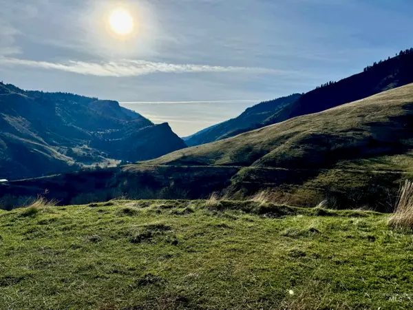 TBD E Shingle Creek Drive, Riggins, ID 83549