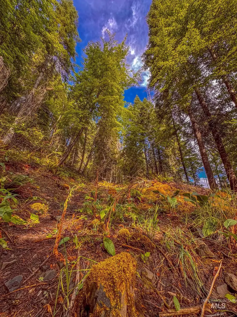 404 Harmony Heights Loop, Orofino, ID 83544 - Image #2