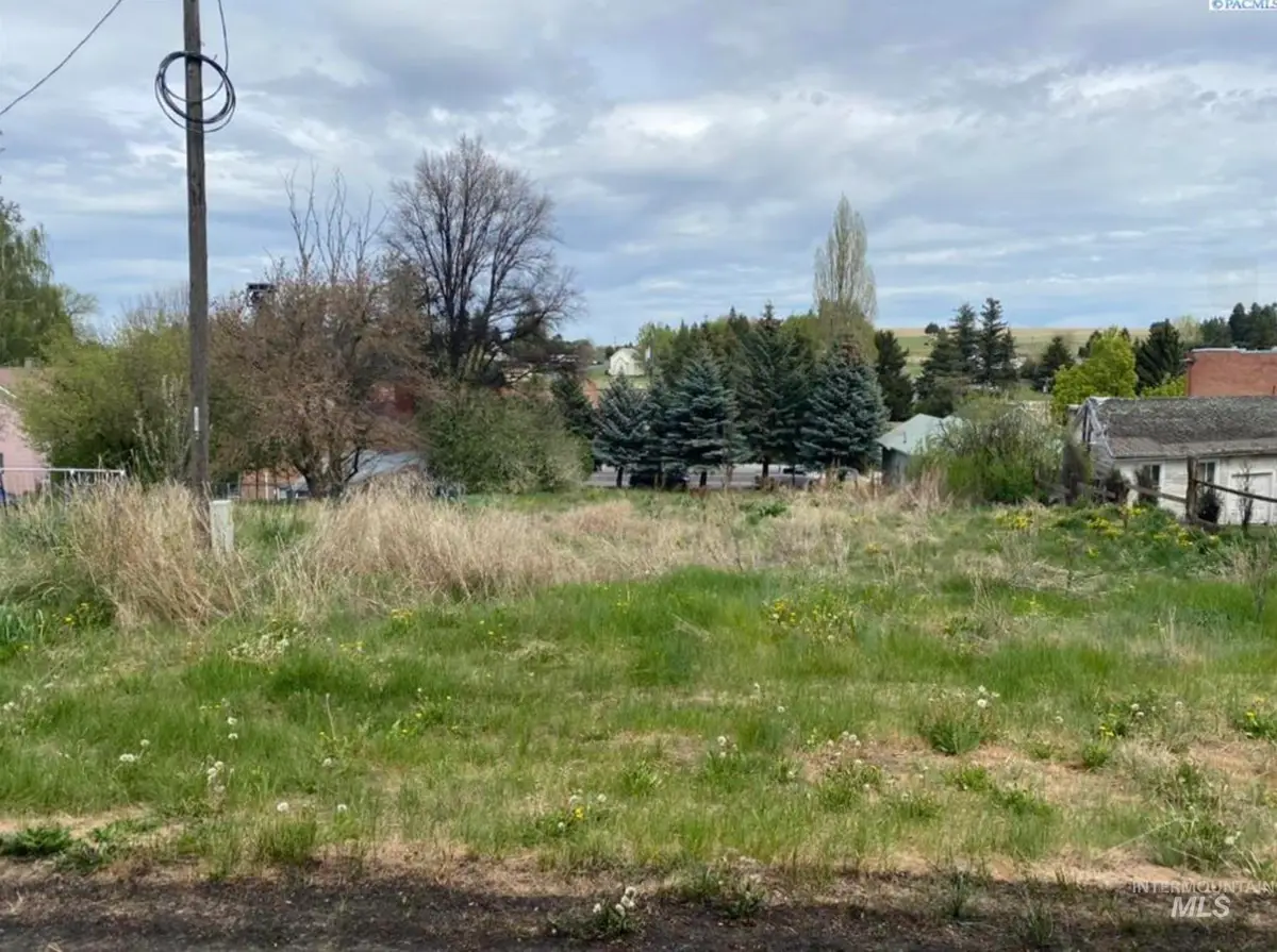 111 S High Street, Uniontown, WA 99179 - #1