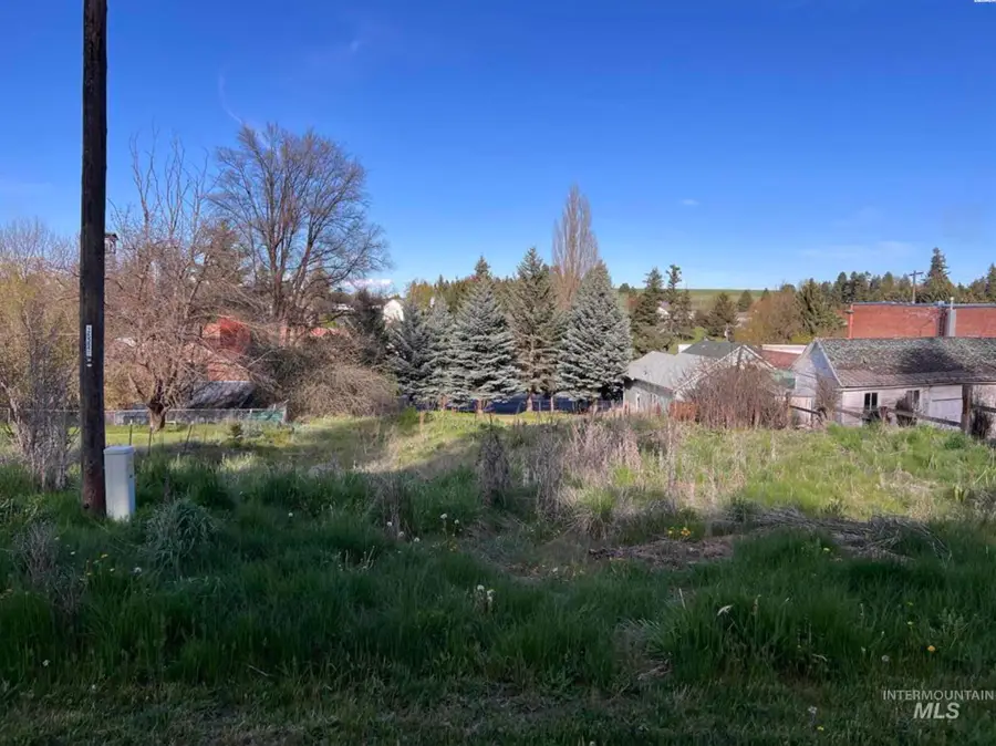 111 S High Street, Uniontown, WA 99179 - #3