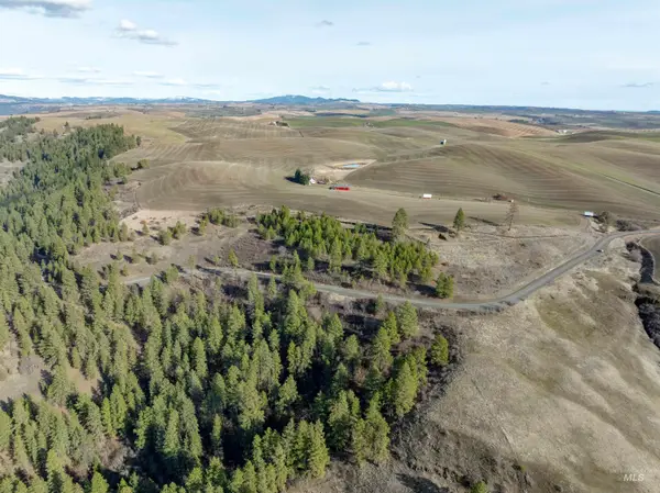 TBD Sperry Grade Road, Kendrick, ID 83537