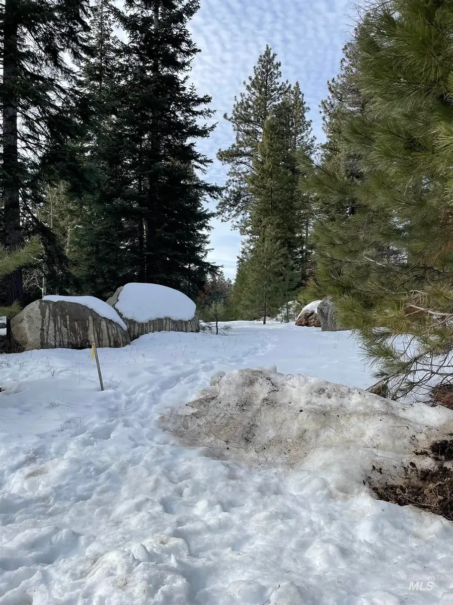 TBD Heavens Gate Ct., McCall, ID 83638 - #2