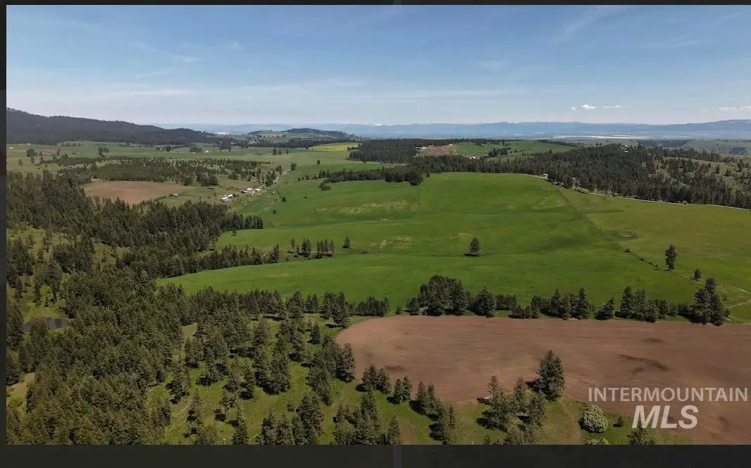 TBD Rieman Rd, Cottonwood, ID 83522 - #1