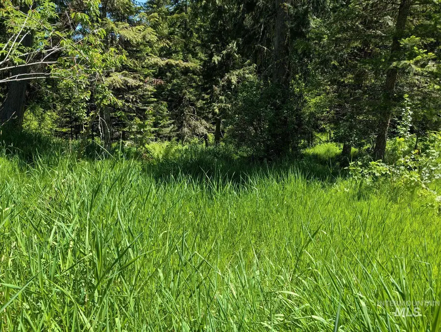 Parcel C Corner Stone Road, Kamiah, ID 83536 - #3