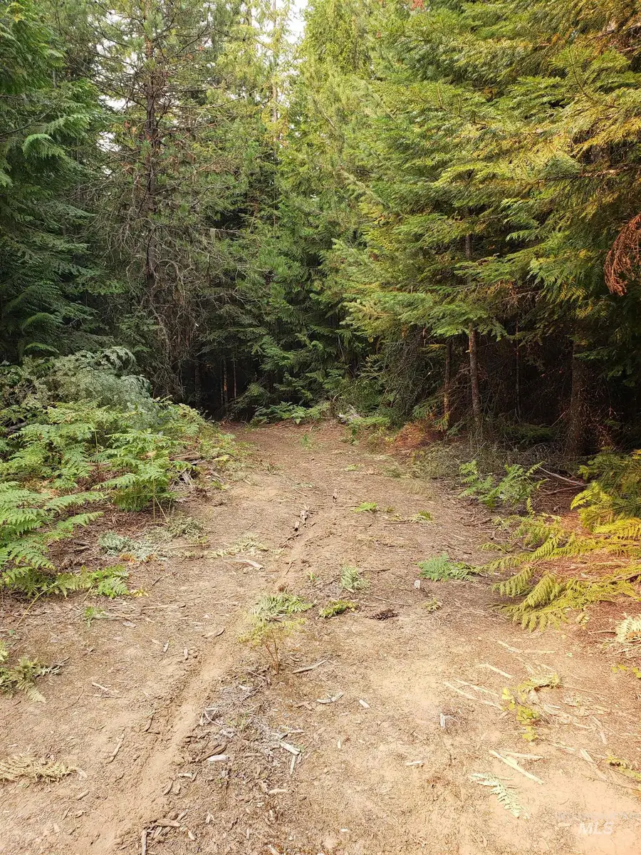 80 E Ridge Dr., Saint Maries, ID 83861 - #3