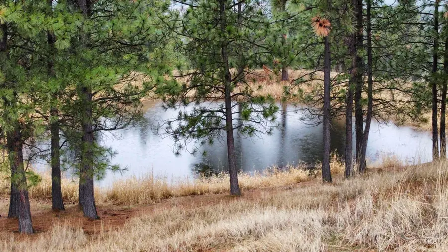 1050 Tukta Way, Princeton, ID 83857 - #2