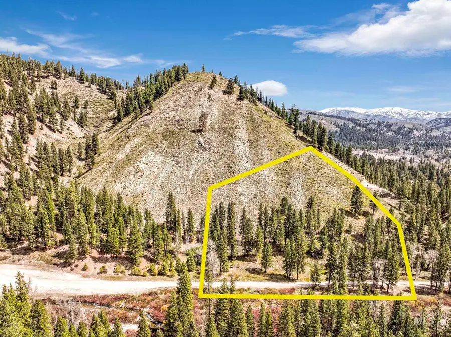 TBD Trinity Creek Rd, Featherville, ID 83647 - #3