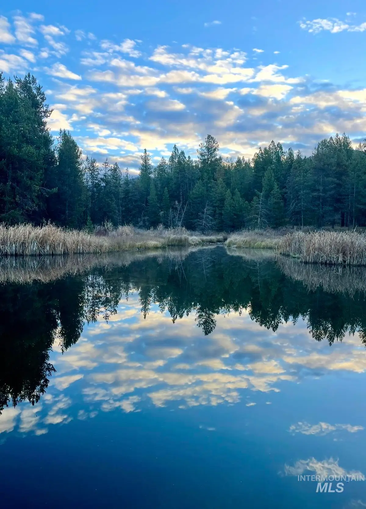 211 Pointes Road, Cascade, ID 83611 - #1