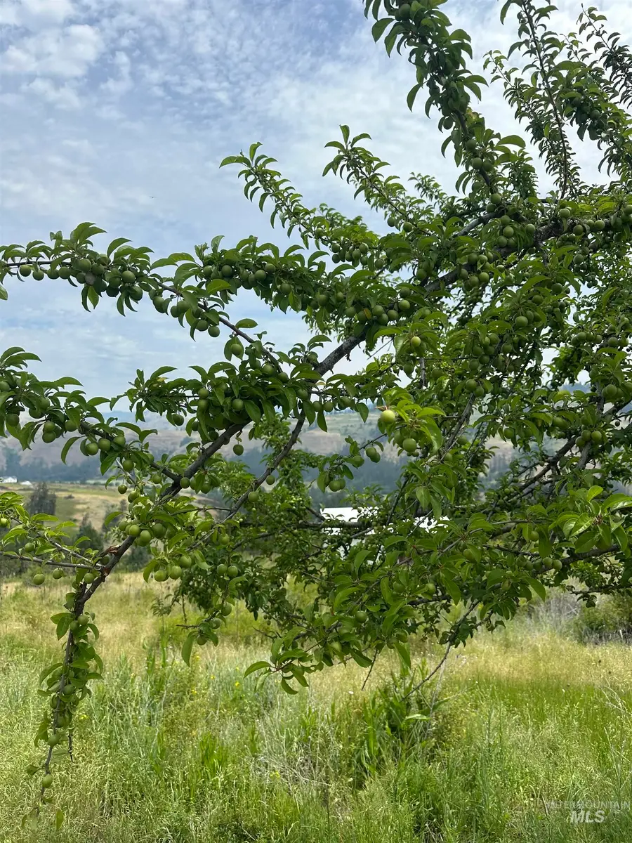 TBD Canyon Dr, Kooskia, ID 83539 - #3