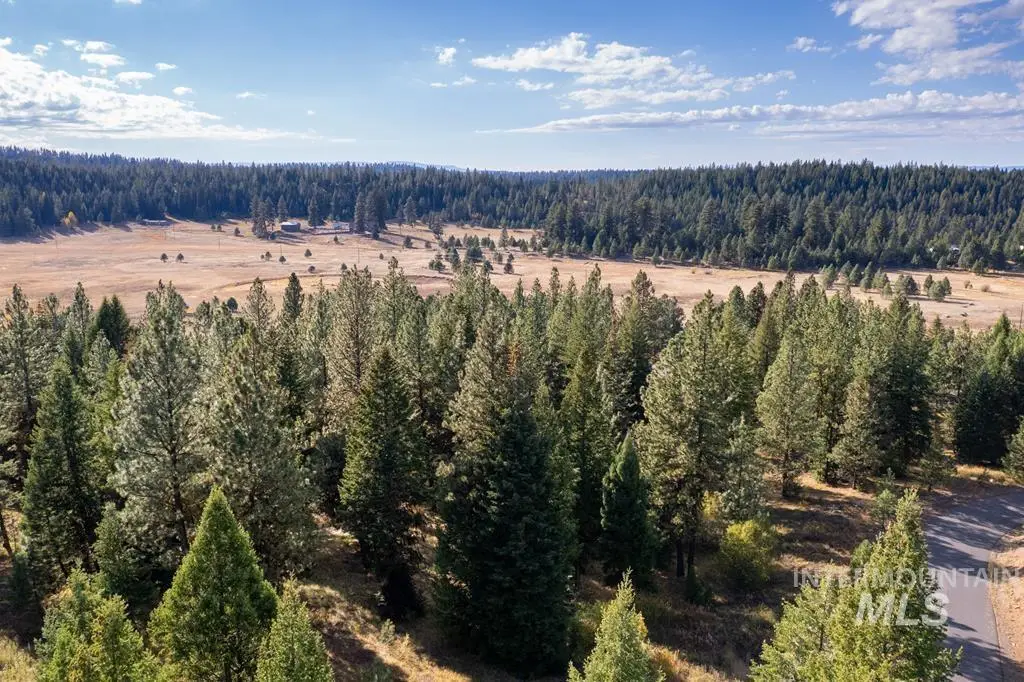 TBD Whitefield Ln., McCall, ID 83638 - #1