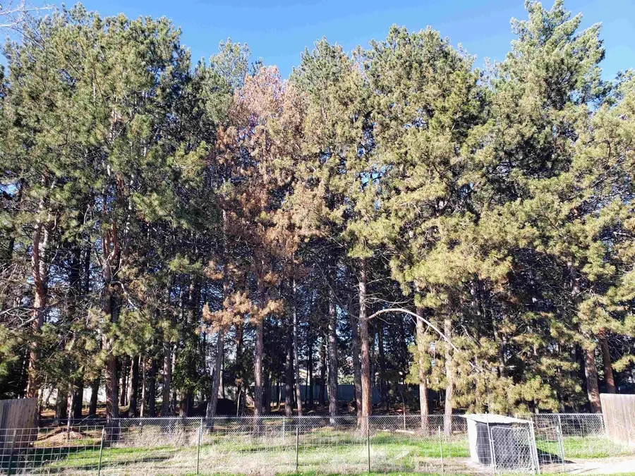 4633 N Jennifer, Boise, ID 83704 - #2