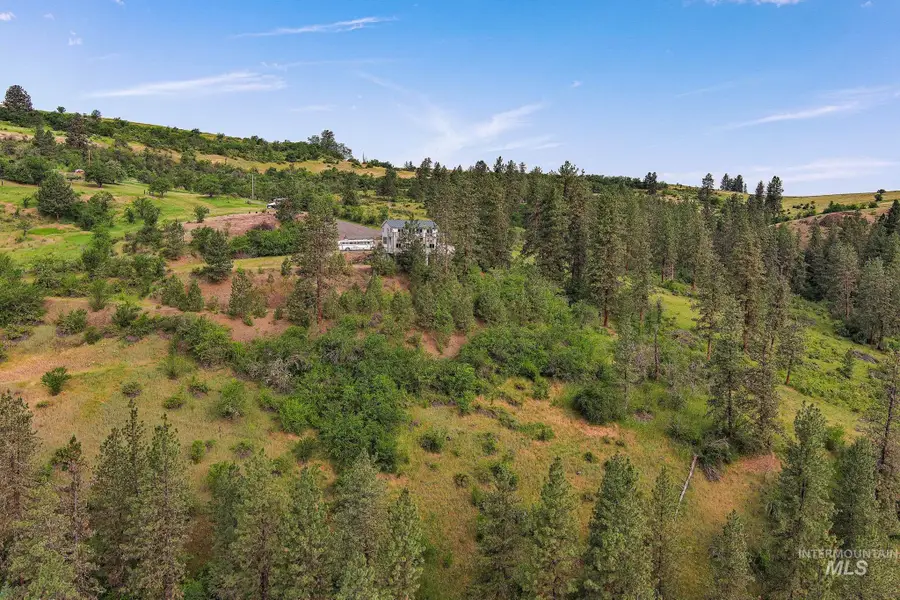 156 Butcher Creek Lane, Grangeville, ID 83530 - #2