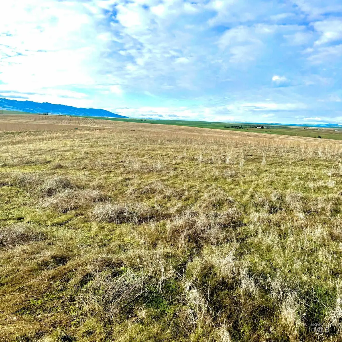 TBD Lot 17 A Pheasant Loop Rd, Lewiston, ID 83501 - #1