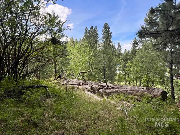 T75 LI Cabarton Road, Cascade, ID 83611