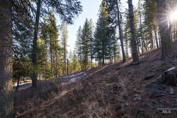 Lot 7 Camas Dr, New Meadows, ID 83654