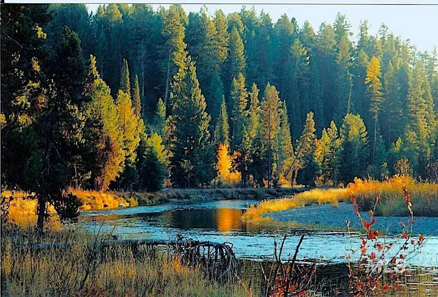 117 Morgan Drive, McCall, ID 83638 - #2