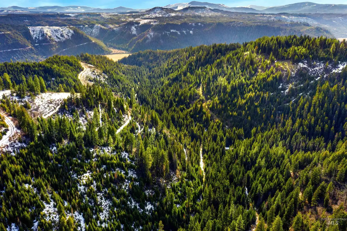 NKA Philips Draw Rd., Saint Maries, ID 83861 - #1