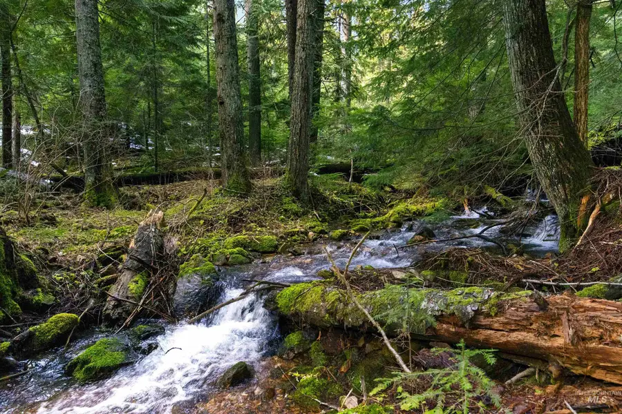 NKA Philips Draw Rd., Saint Maries, ID 83861 - #2