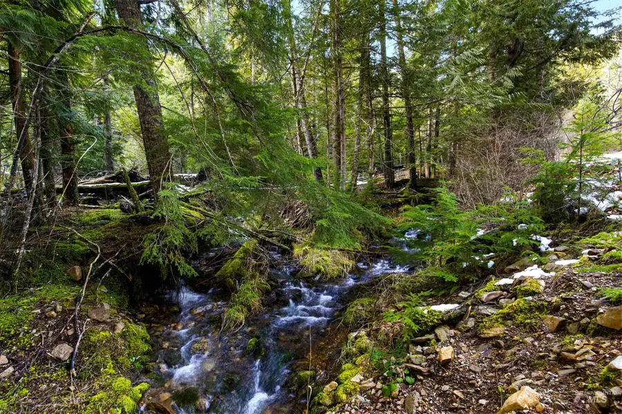 NKA Philips Draw Rd., Saint Maries, ID 83861 - #3