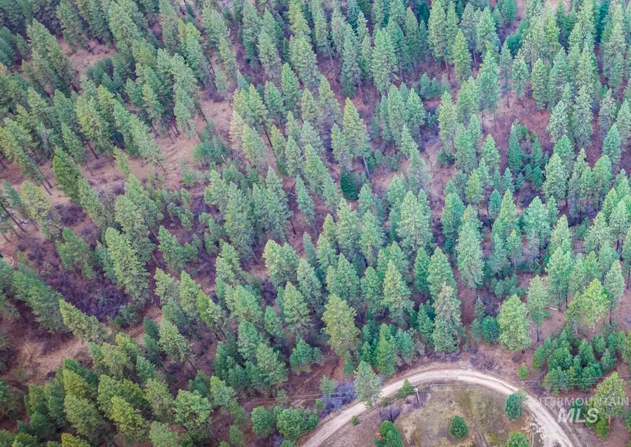 Lot 2 Card Creek, Casey Estates#3, Garden Valley, ID 83622 - #2