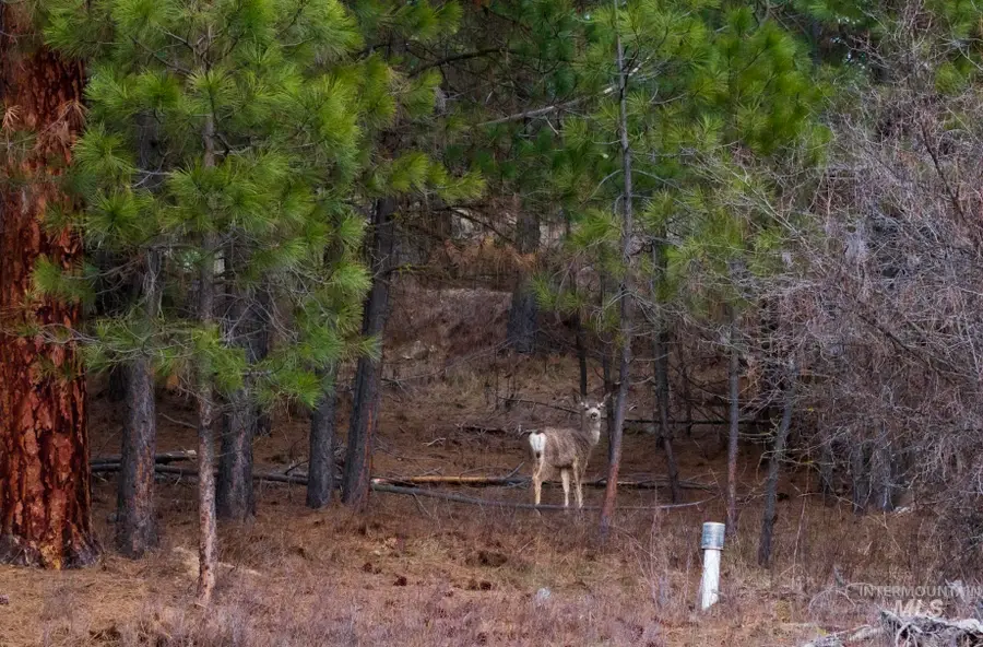 Lot 1 Card Creek, Casey Estates#3, Garden Valley, ID 83622 - #2