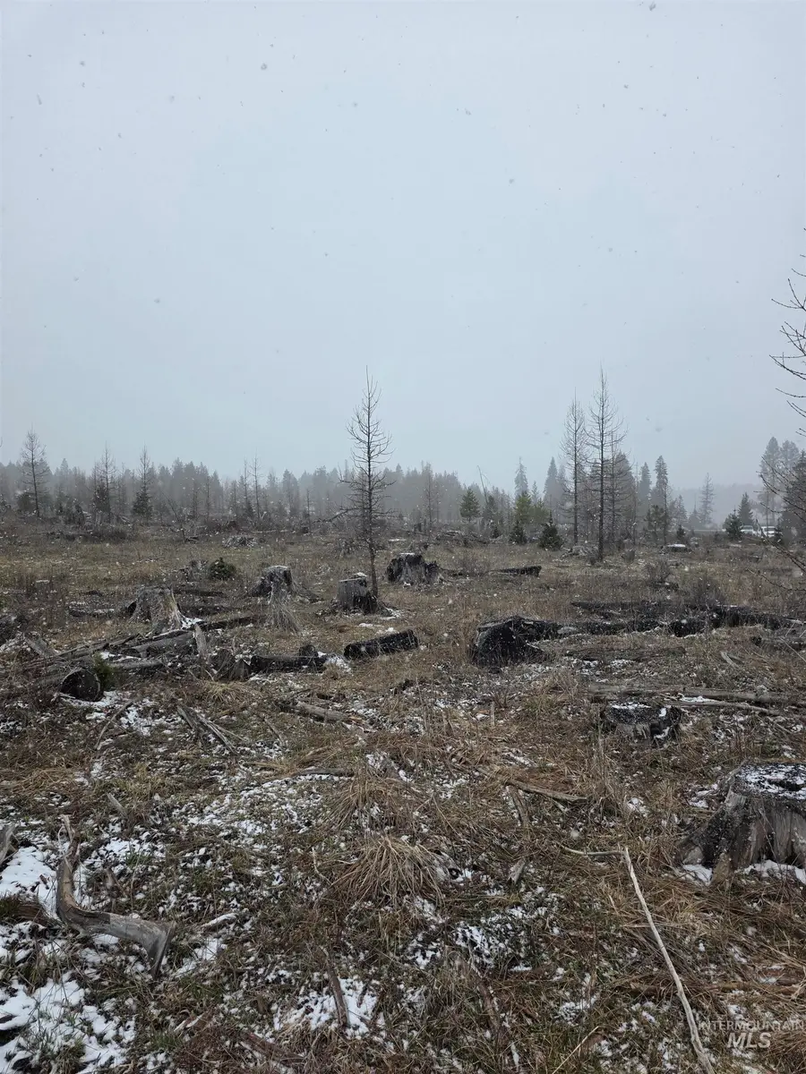 TBD Upper Fords Creek Road, Orofino, ID 83544 - #3
