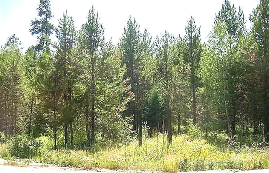 137 Lake Trail Drive, Donnelly, ID 83615 - #2