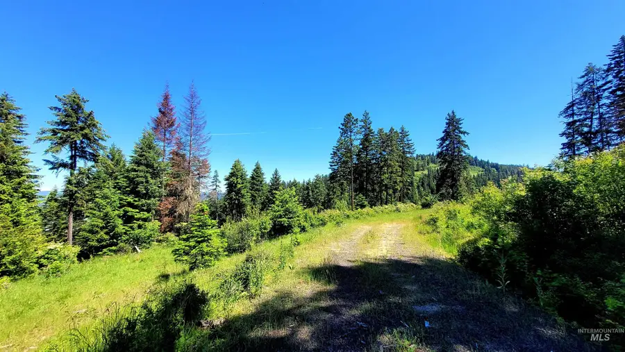 1337 Tie Creek Dr, Orofino, ID 83544 - #3