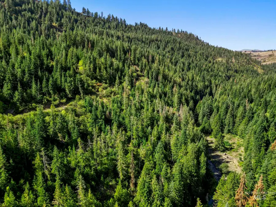 NKA North Road, Kendrick, ID 83537 - #3