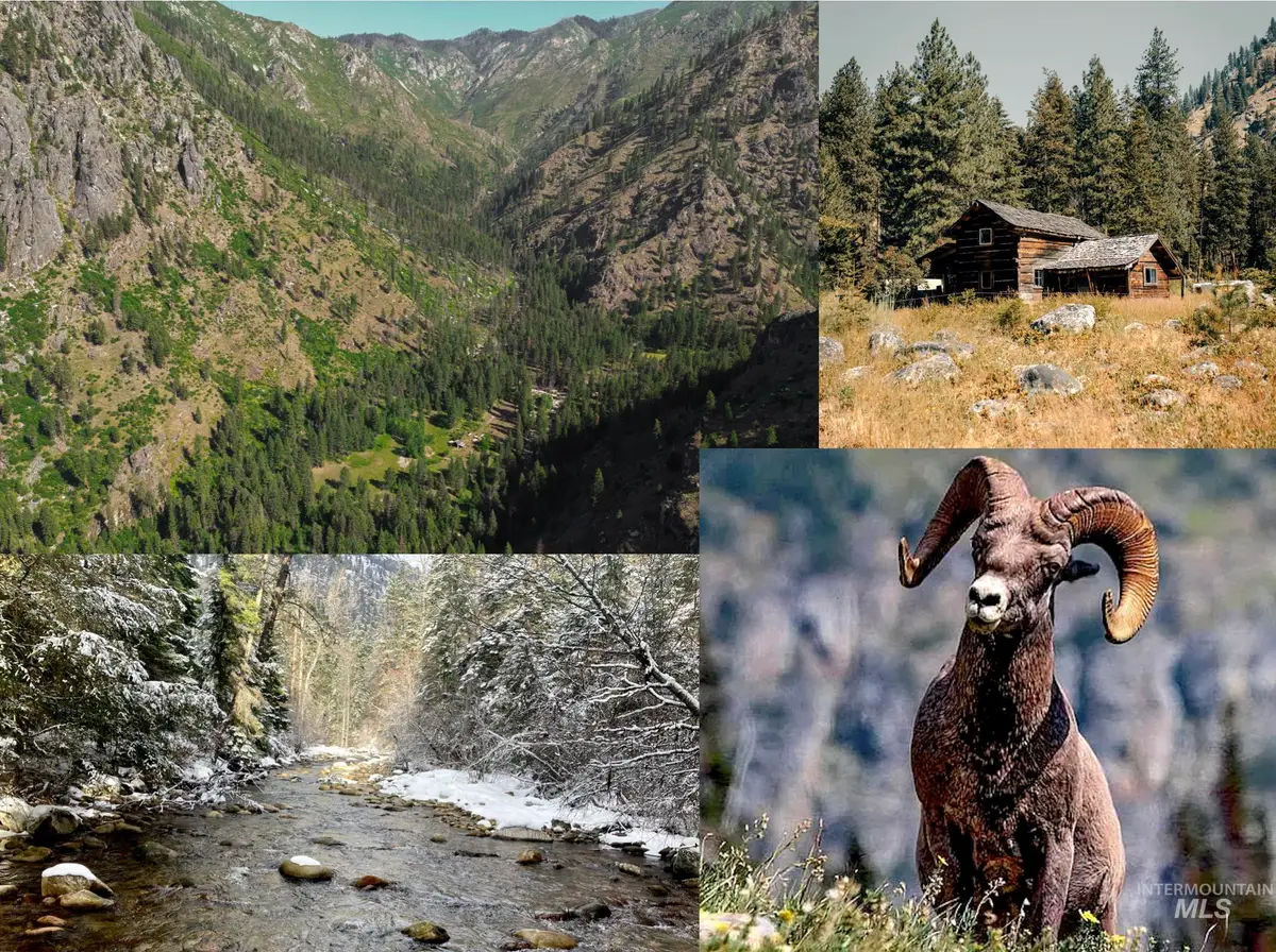 3869 Big Salmon River Rd, Riggins, ID 83549 - #1