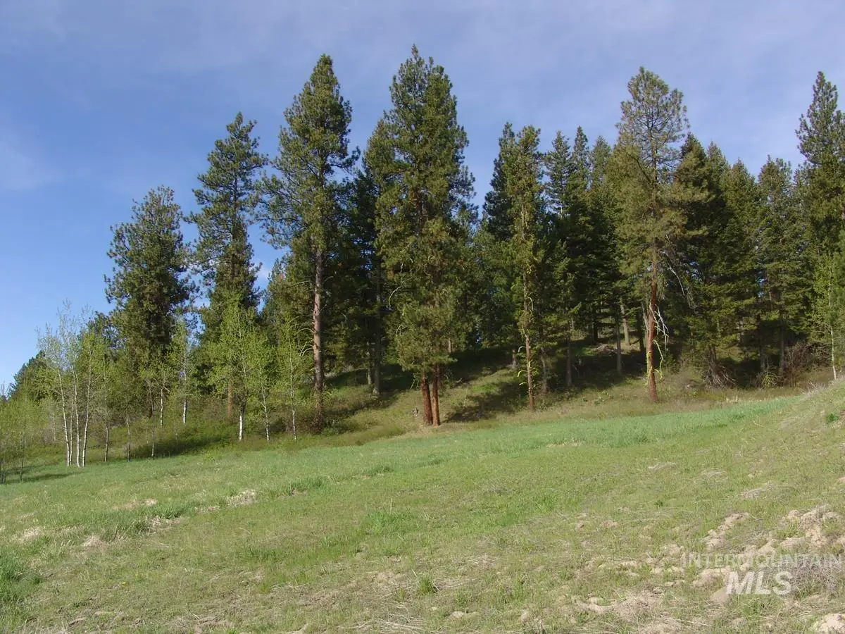 21 Rehn Loop, Cascade, ID 83611 - #1