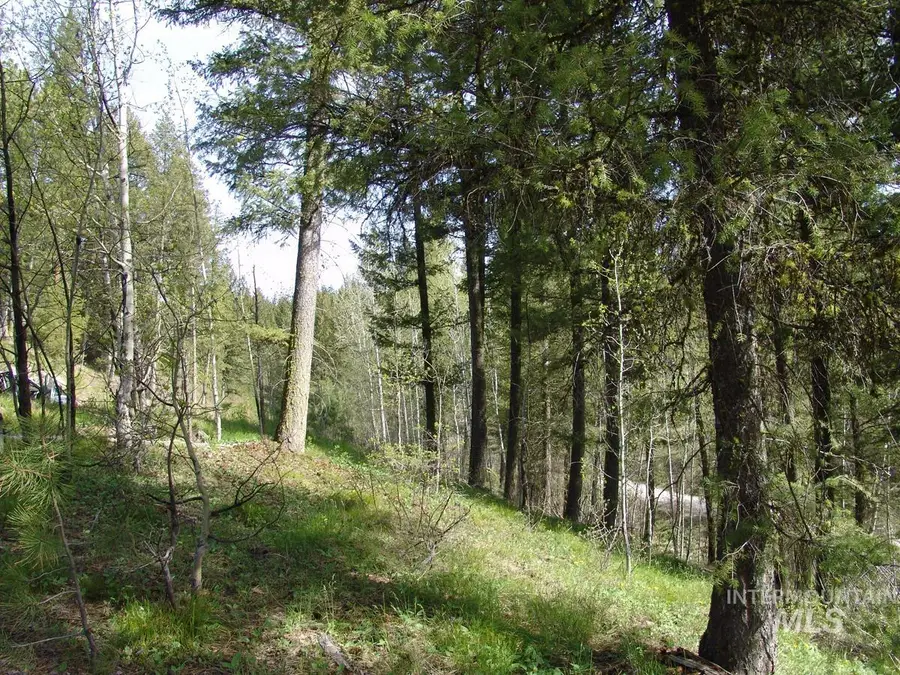 21 Rehn Loop, Cascade, ID 83611 - #2