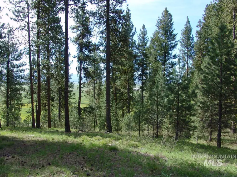 21 Rehn Loop, Cascade, ID 83611 - #3