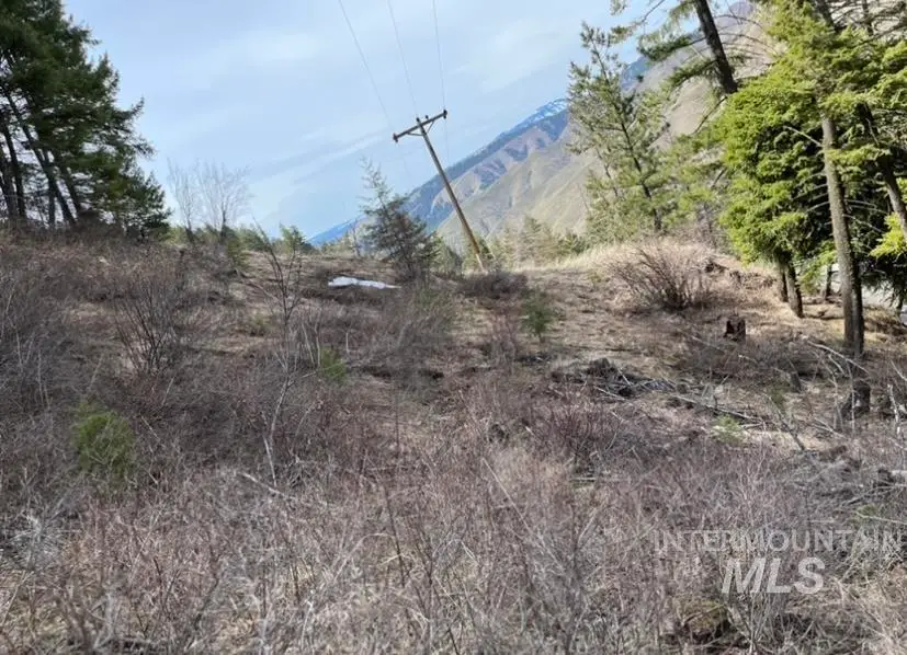 TBD State Highway 129, Anatone, WA 99401 - #3