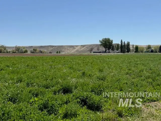 9013 W Cambridge Ct, Hammett, ID 83627 - #2