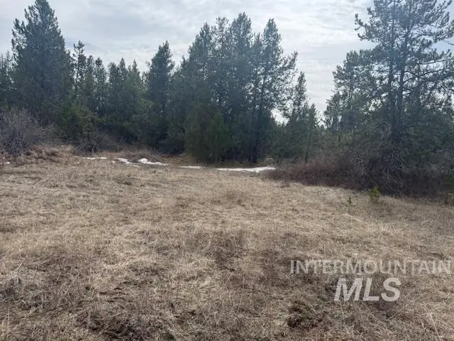 21 Grand Fir Dr, Donnelly, ID 83615 - #1