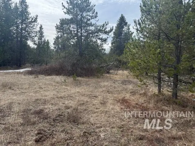 21 Grand Fir Dr, Donnelly, ID 83615 - #2