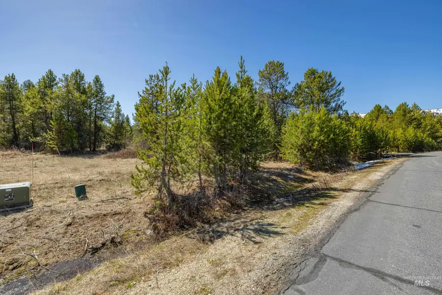 21 Grand Fir Dr, Donnelly, ID 83615 - #3