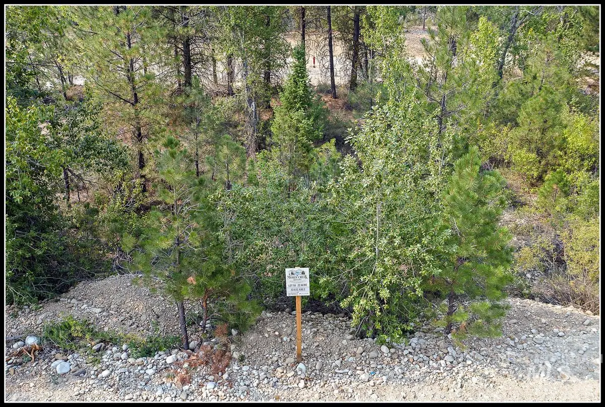 Lot 58 Mores Creek Dr, Idaho City, ID 83631 - #1