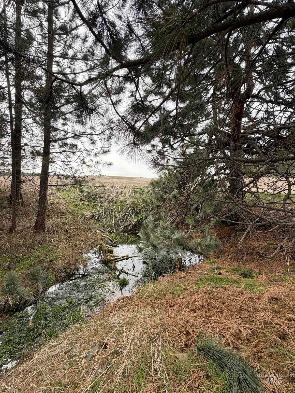 TBD Sandhill Rd, Winchester, ID 83555 - #1