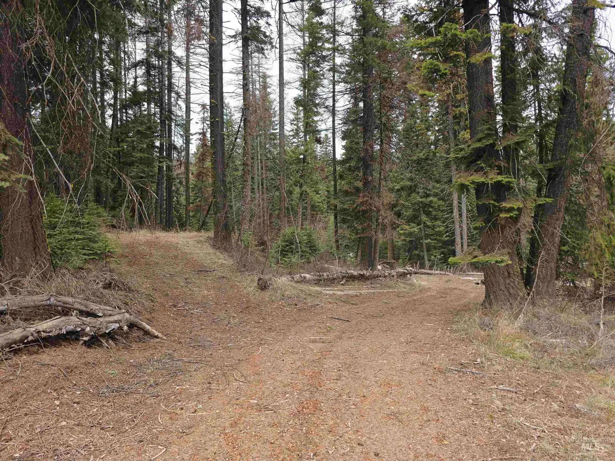 1709 West Mountain Road, Donnelly, ID 83615 - #1