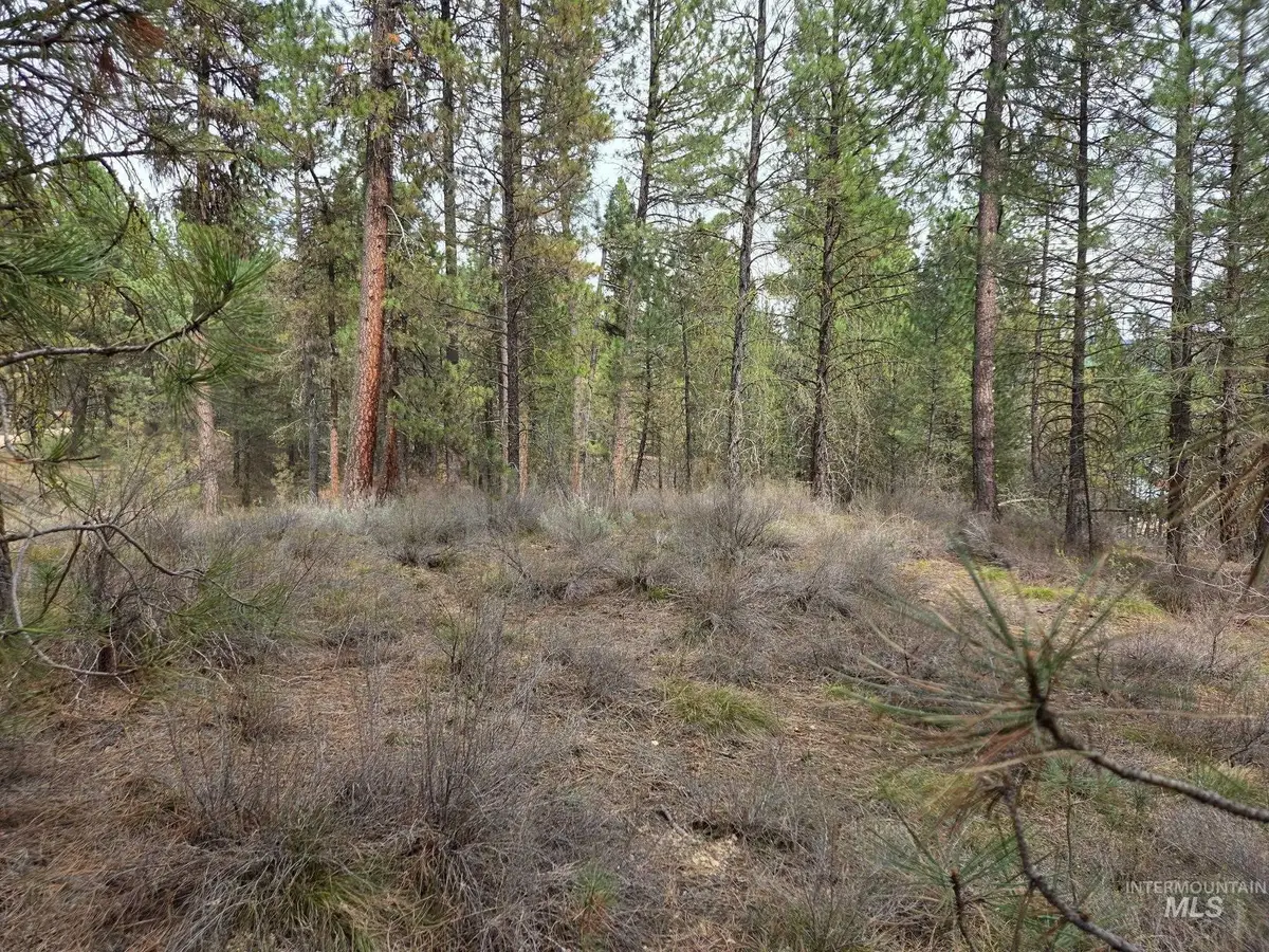 Lot 31 S Meadow Creek, Centerville, ID 83631 - #1