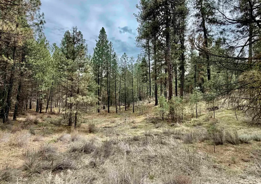 Lot 31 S Meadow Creek, Centerville, ID 83631 - #3