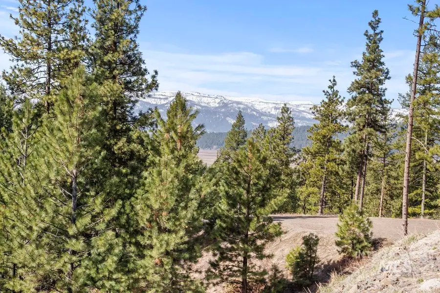 17 Tito Trail, Cascade, ID 83611 - #3
