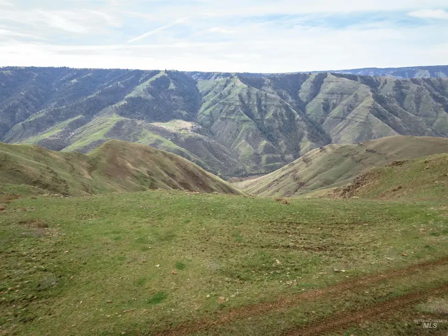 Lot 1 Salmon River Canyon Estates, Grangeville, ID 83530 - #2