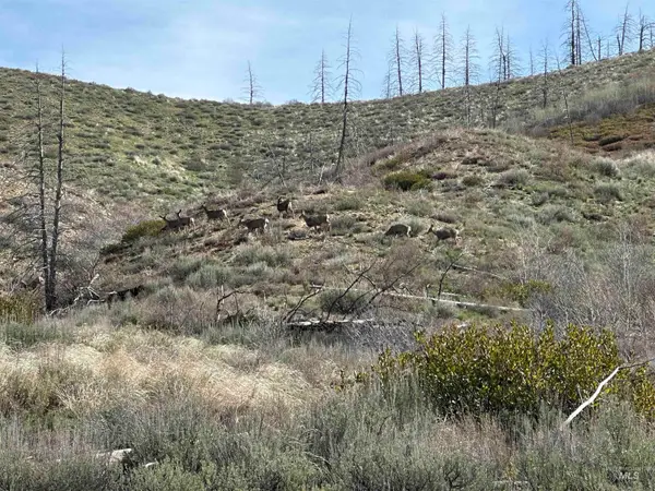 TBD Lester Creek Rd, Pine, ID 83647